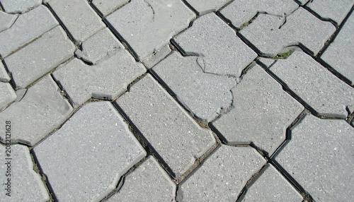Gray paving stones