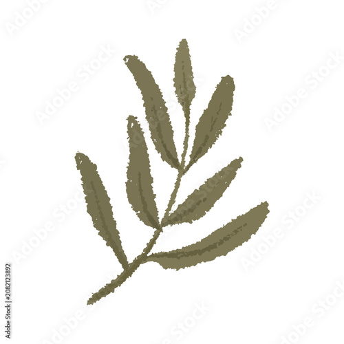 Minimalist textured crayon illustration of a green leafy plant branch. Elegant hand-drawn botanical element isolated on white for natural pattern and organic design