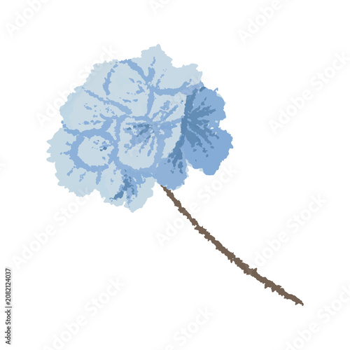 Soft hand-drawn blue hydrangea flower cluster on a single stem in textured watercolor crayon style. Delicate botanical element isolated on white background for elegant card designs
