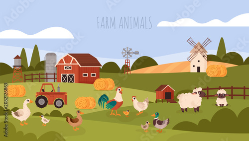 Foto Farm animal banner