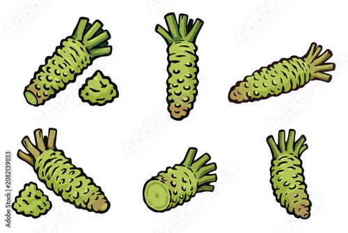 wasabi root, raw wasabi for japanese foodWhole and half wasabi isolated on white background. vector illustration