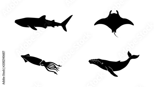 Marine life Silhouettes On White Background Minimalist Vector Illustration
