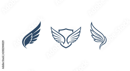 Elegant Winged Symbol with Feathers Design.