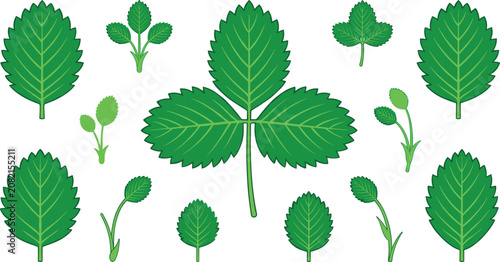 Fotografía Botanical green leaf icons bundle with realistic strawberry foliage details sepa