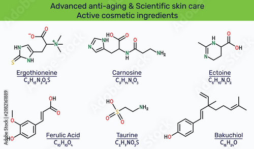 Bild auf Leinwand Advanced anti-aging skincare active cosmetic ingredients molecules