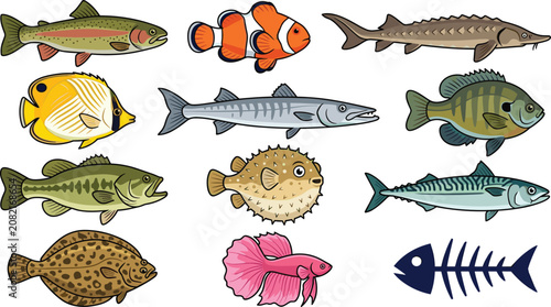 Photography Tropical and Freshwater Fish Collection Vector Set with Marine Aquarium Species,