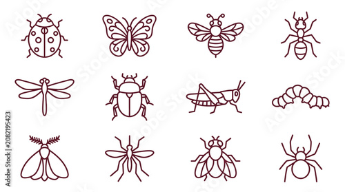 Tableau sur toile A vector illustration of various insects including beetles, butterfly, and caterpillar in red lines on white background, from vector1 (31)