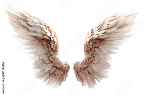 Ethereal angel wings isolated on transparent background. Pair of detailed white dove wings spread wide isolated on white background.