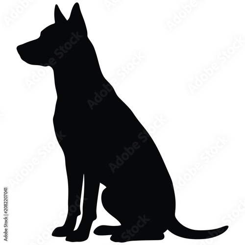 Foto Black silhouette of a sitting dog with erect ears and tail  canine