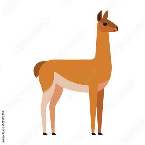 Tableau sur toile Guanaco, minimal flat 2D illustration with smooth shapes, isolated on a white background