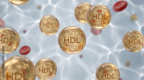HDL Cholesterol Molecules in Bloodstream