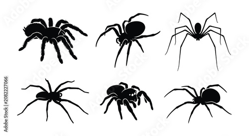 Obraz na płótnie Spider Silhouettes Black Vector Illustration On White Background