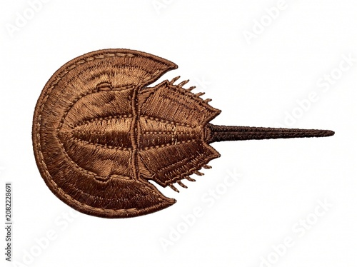 Detailed horseshoe crab marine animal embroidery art isolated on white background

