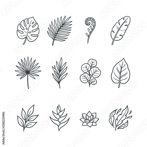 Hand-drawn Tropical Leaves Vector Set - Botanical Sketch Elements
