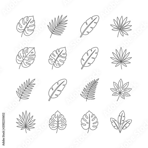 Tropical Leaves Vector Icons Set - Exotic Botanical Line Art Collection