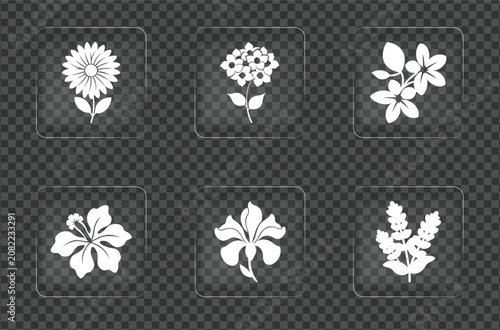 Set Of White Floral Silhouette Icons On Transparent Background