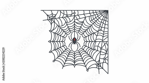 Bild auf Leinwand A spider sits in its intricate web corner