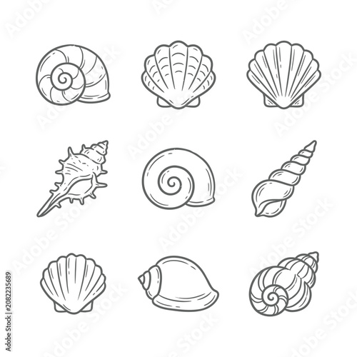 Foto Collection of Hand-Drawn Seashells and Snail Shells, Vector Illustrations