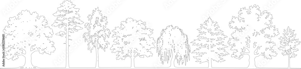 Fototapeta premium Palm Frond and Slender Tree Line Drawing Set, CAD Landscape Elevation Vector,Architectural Planting Elevation Set, Frond and Slender Tree Vector Elements, Botanical Line Drawing Collection