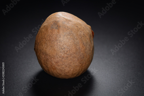 Fotografie Avocado seed isolated on neutral background symbolizing growth and natural origi