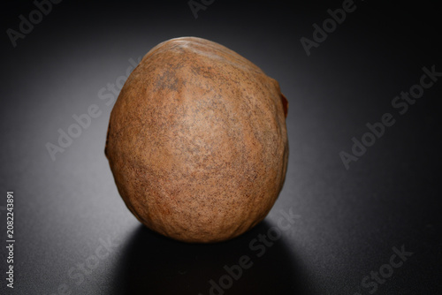 Canvastavla Avocado seed isolated on neutral background symbolizing growth and natural origi