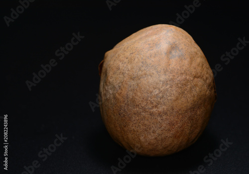 Konstfotografi Avocado seed isolated on neutral background symbolizing growth and natural origi