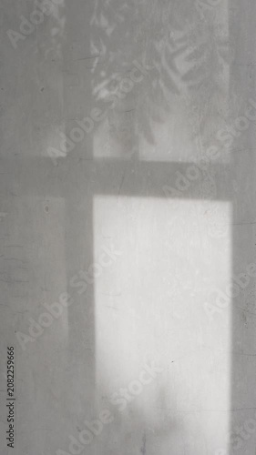 Vertical dark window shadow play with tree branch moving on rough grey cement wall in afternoon sun, creating realistic rustic background.