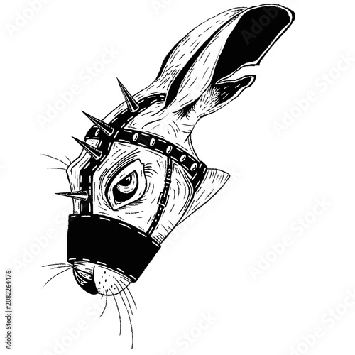 vector illustration of a Rabbit head