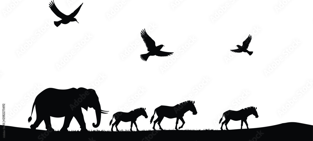 Fototapeta premium Silhouette of African Wildlife and Birds in Flight Against White Background elephant zebra