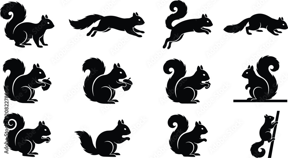 Fototapeta premium Set of black squirrel silhouettes in various poses including running sitting and climbing on white