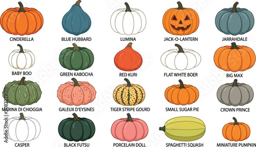 Foto Varieties of pumpkins and gourds for fall decor and cooking
