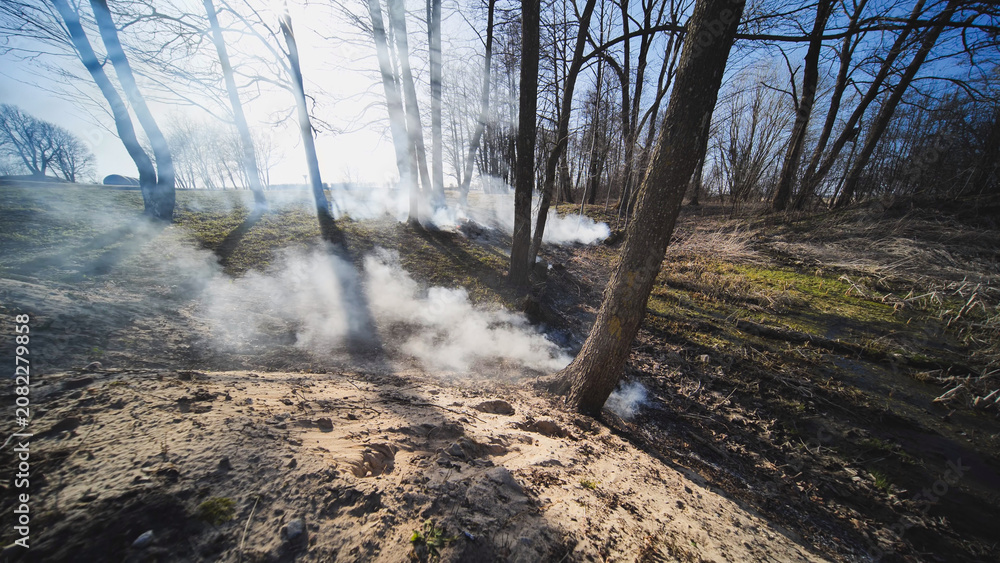 Obraz premium Smoke rising from burning dry grass near Trokiele church in spring