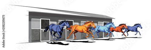 Valokuva Starting gate opening as racehorses sprint forward in thrilling horse racing com