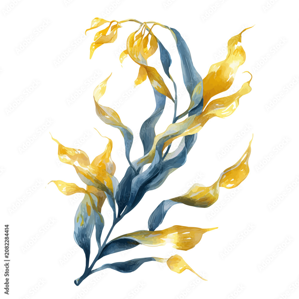 Fototapeta premium Kelp watercolor artwork, high-quality professional vector illustration isolated on a white background.