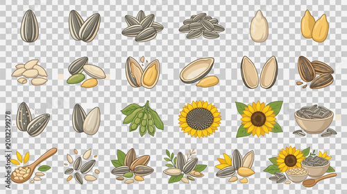 Obraz na plátně Various edible seeds and grains displayed in a grid against a transparent backgr