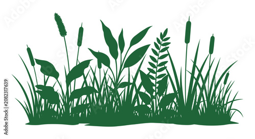 Foto Green plants and cattails in silhouette.