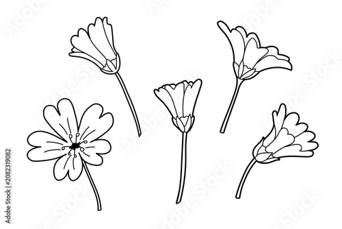 A set of hand-drawn wildflower icons.