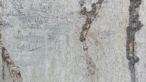 Foto Cracked Concrete Wall Texture with peeling plaster details, useful for grunge ba
