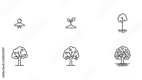 Photos Tree Life Cycle Icon Set, Plant Growth Seedling Development and Orchard Outline