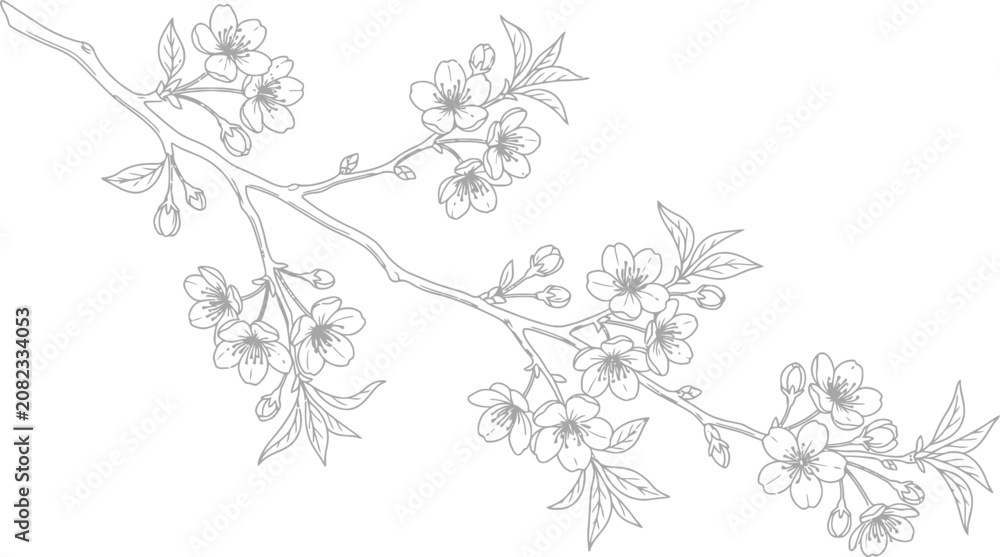 Fototapeta premium Cherry Blossom Branch Line Art Vector for Wedding Invitations, Botanical Illustrations & Minimalist Floral Greeting Card Designs (EPS)