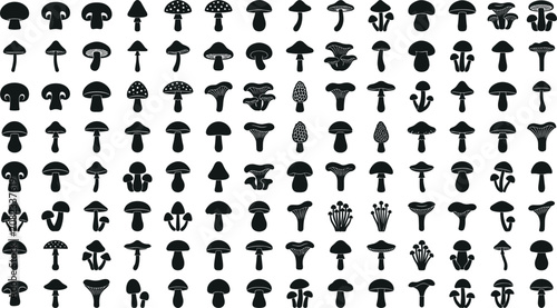 Schilderij op canvas Mushroom and Forest Fungi Silhouette Icon Set Featuring Porcini, Chanterelles, M