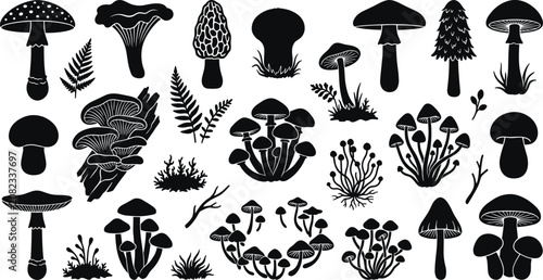Schilderij op canvas Mushroom and Fungus Line Icon Set Featuring Porcini, Chanterelles, Morels, Shiit