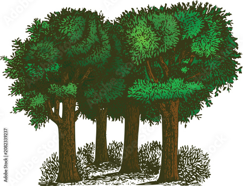 Hand Drawn Green Forest Trees Group with Bush and Foliage Vector Illustration