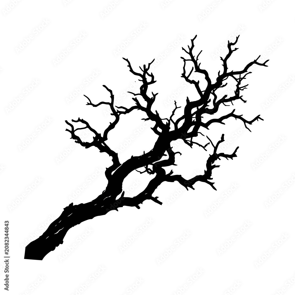 Fototapeta premium dead tree silhouette