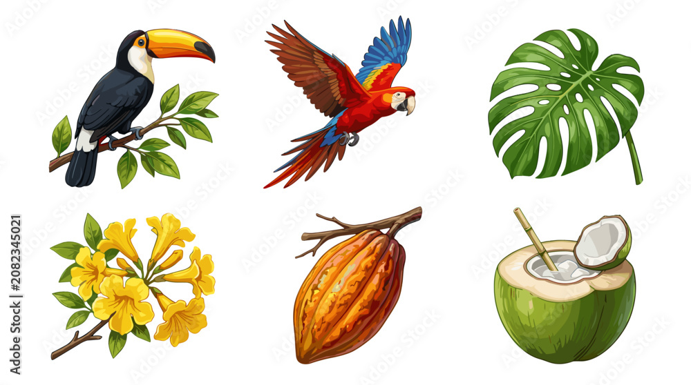 Fototapeta premium Collection of tropical and exotic plants and animals including toucan macaw and coconut