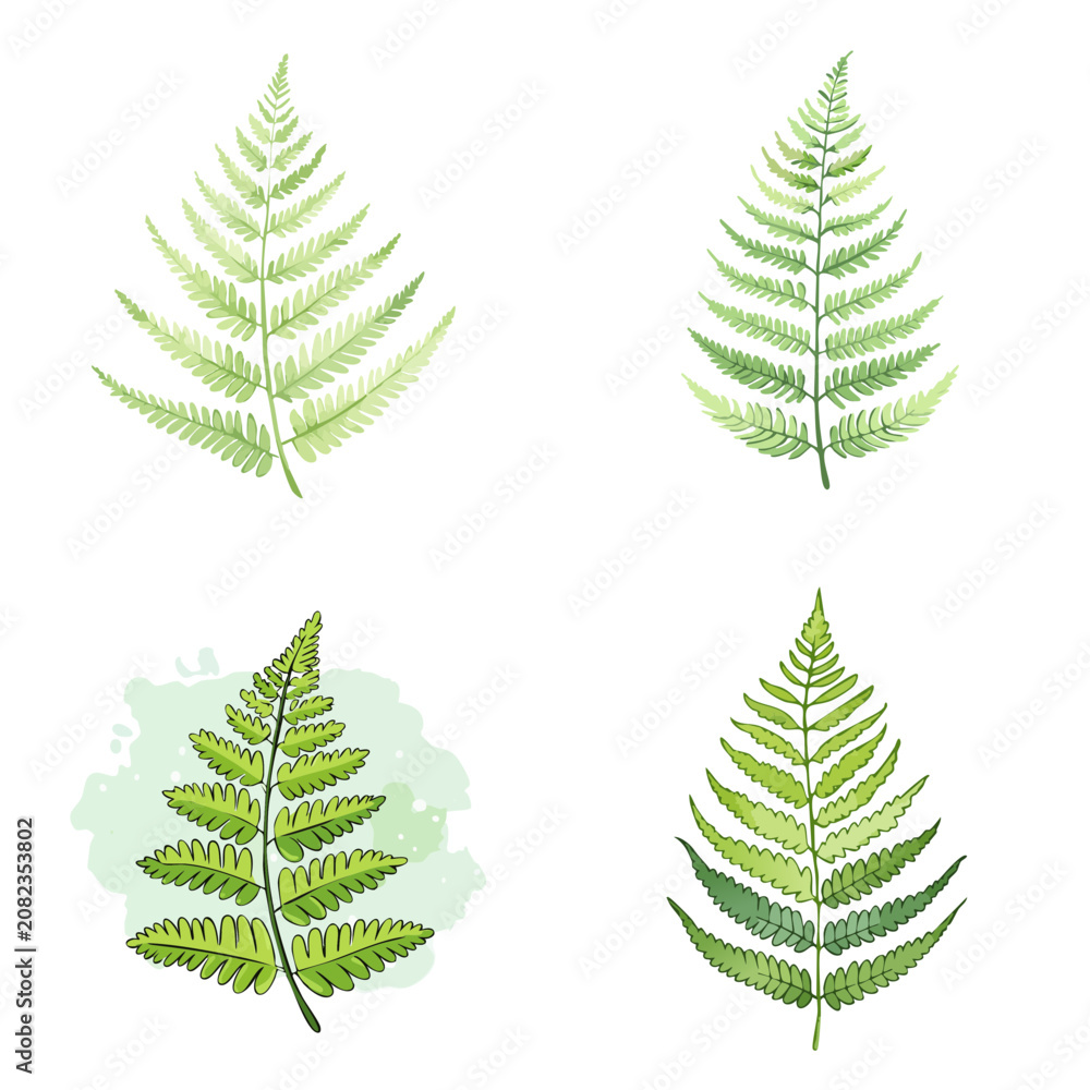 Obraz premium Set of watercolor fern leaves in various shades of green and styles