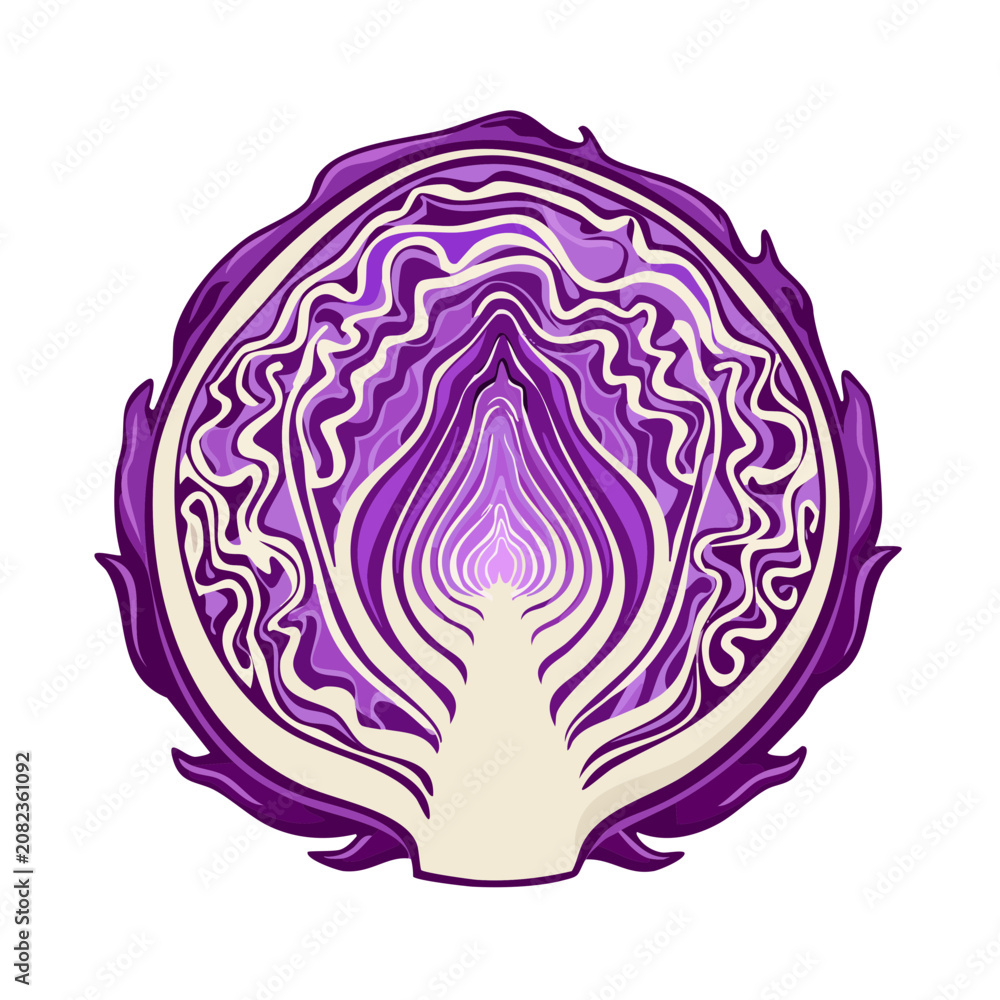 Obraz premium Vibrant cross-section of a fresh red cabbage revealing layered purple and white textures