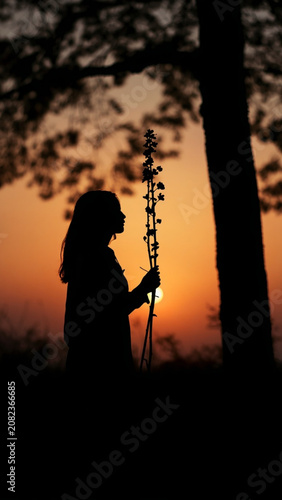 Silhouette of a Woman Holding Wildflowers at Sunset in a Peaceful Forest