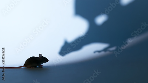 Small rodent observes large, ominous shadow on a light blue-grey background, representing fear, intimidation, and perceived threat