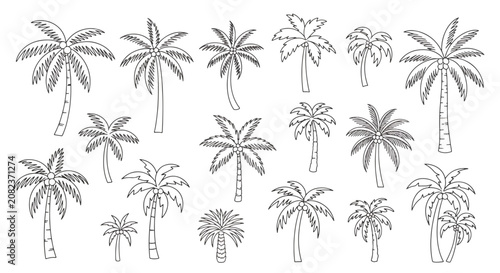 Photos Vector illustration of delicate white daisy flowers on stems.